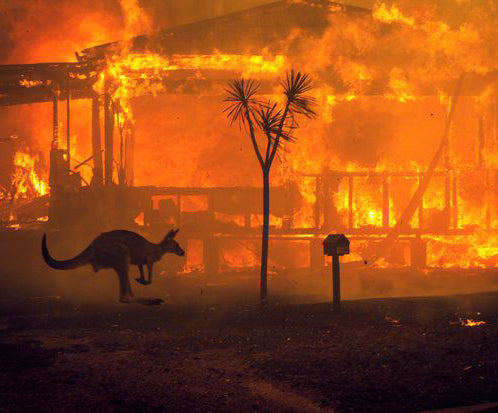 Climate Change is Real: Some Ways to Help Australia